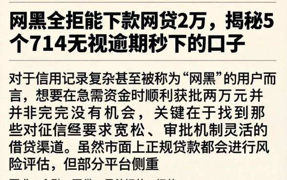 网黑全拒能下款网贷2万，揭秘5个714无视逾期秒下的口子