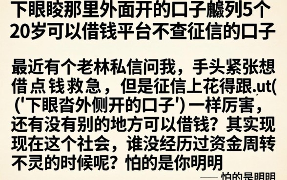 下眼睑那里外面开的口子，胪列5个20岁可以借钱平台不查征信的口子