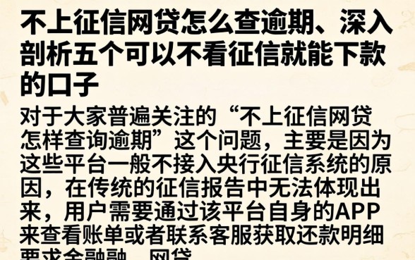 不上征信网贷怎么查逾期，深入剖析五个可以不看征信就能下款的口子