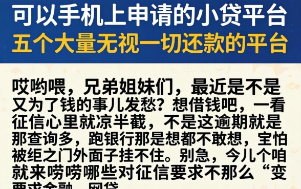 可以手机上申请的小贷平台，概括五个大额无视一切还款的平台