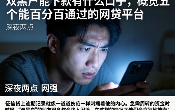 双黑户能下款有什么口子，概览五个能百分百通过的网贷平台