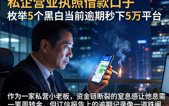 私企营业执照借款口子，枚举5个黑户当前逾期秒下5万平台