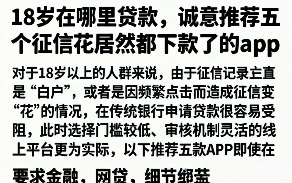 18岁在哪里贷款，诚意推荐五个征信花居然都下款了的app