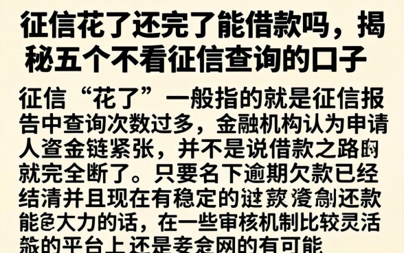 征信花了还完了能借款吗，揭秘五个不看征信查询的口子