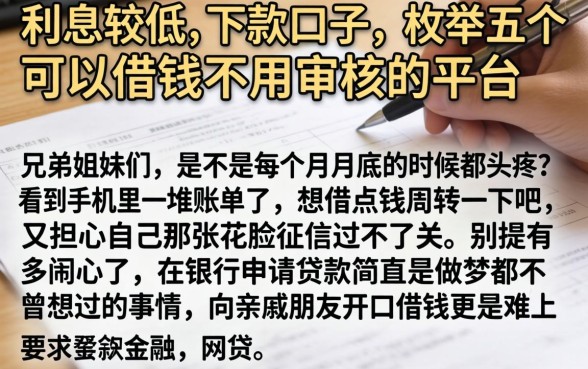 利息较低的下款口子，枚举五个可以借钱不用审核的平台