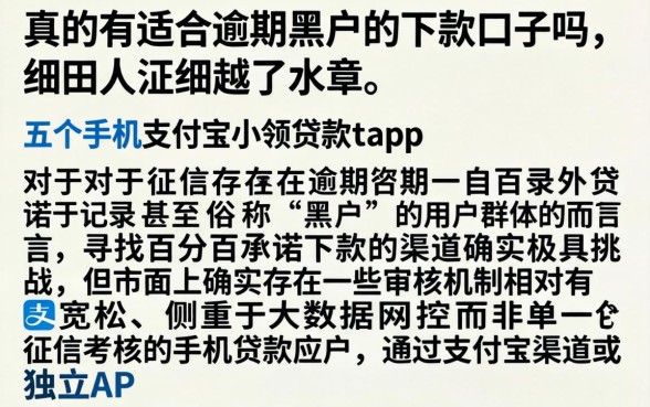 真的有适合逾期黑户的下款口子吗，细致阐述五个手机支付宝小额贷款的app