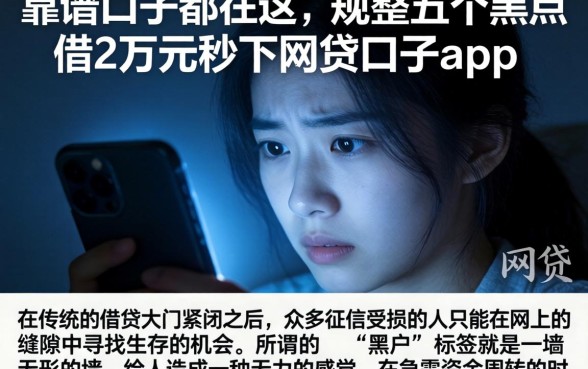 靠谱的口子都在这，规整五个黑户借2万元秒下网贷口子app