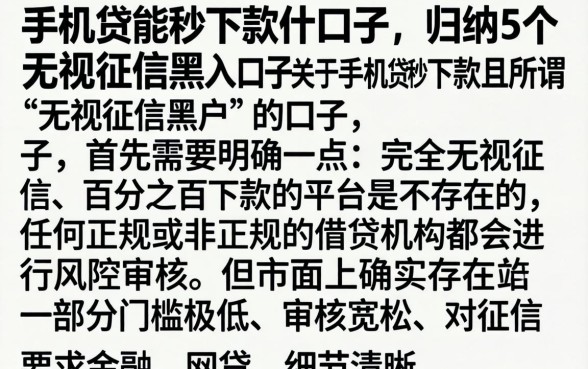 手机贷能秒下款的口子，归纳5个无视征信黑户口子
