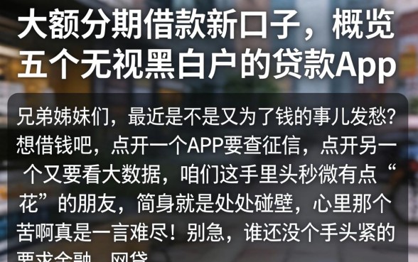 大额分期借款新口子，概览五个无视黑白户的贷款app
