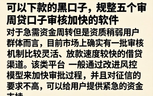 可以下款的黑口子，规整五个审贷口子审核加快的软件
