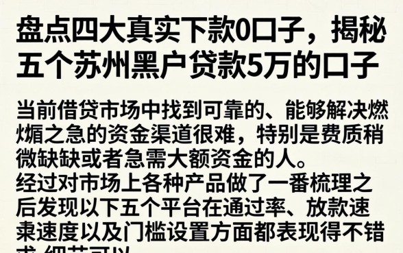 盘点四大真实下款的口子，揭秘五个苏州黑户贷款5万的口子