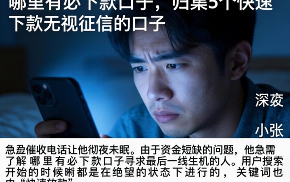 哪里有必下款口子，归集5个快速下款无视征信的口子