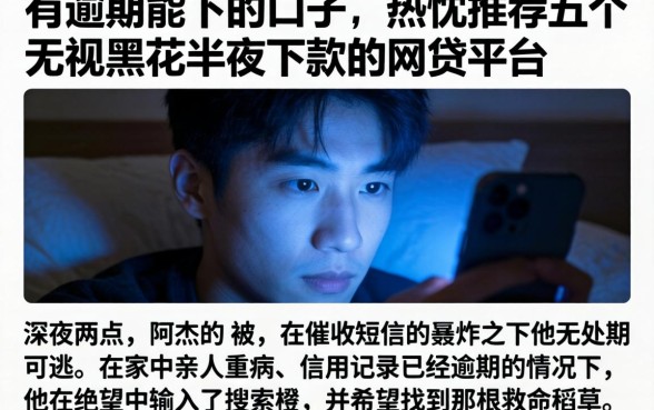 有逾期能下的口子，热忱推荐五个无视黑花半夜下款的网贷平台