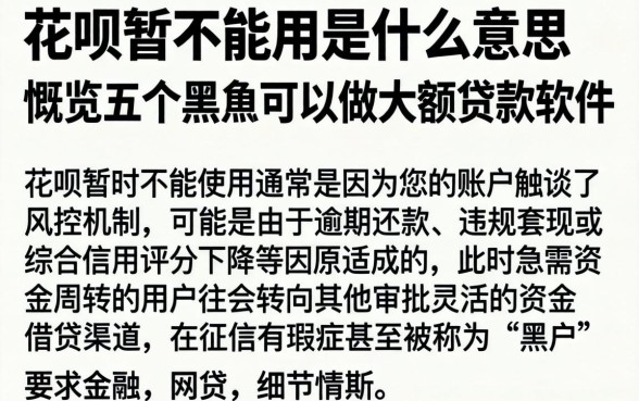 花呗暂不能用是什么意思，概览五个黑户可以做大额贷款软件