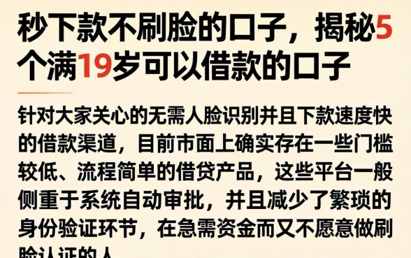秒下款不刷脸的口子，揭秘5个满19岁可以借款的口子