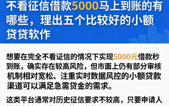不看征信借款5000马上到账的有哪些，理出五个比较好的小额贷款软件