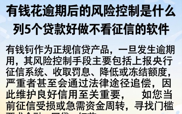 有钱花逾期后的风险控制是什么，胪列5个贷款好做不看征信的软件