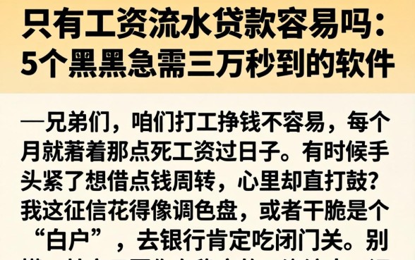 只有工资流水贷款容易吗，归纳5个黑户急需三万秒到的的软件
