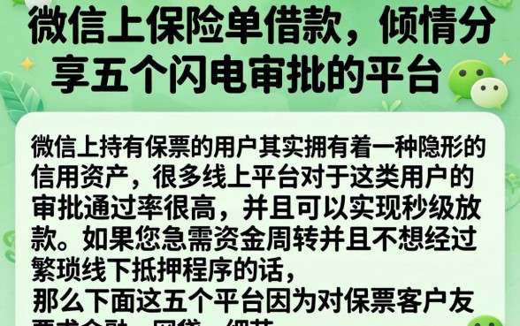 微信上保险单借款，倾情分享五个闪电审批的平台