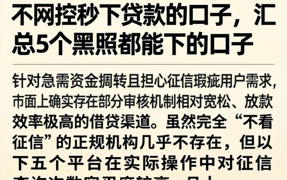 不风控秒下贷款的口子，汇总5个黑户都能下的口子