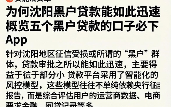 为何沈阳黑户贷款能如此迅速，概览五个黑户贷款的口子必下app