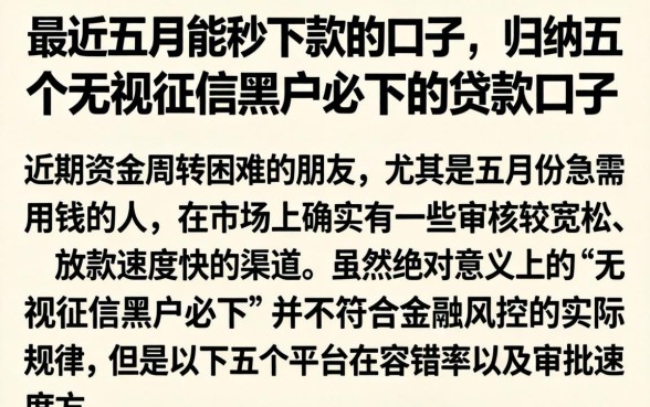 最近五月能秒下款的口子，归纳五个无视征信黑户必下的贷款口子