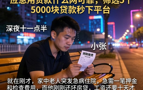 应急用的贷款什么网可靠，筛选5个5000块贷款秒下平台