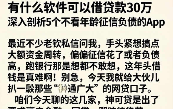 有什么软件可以借贷款30万，深入剖析5个不看年龄征信负债的app