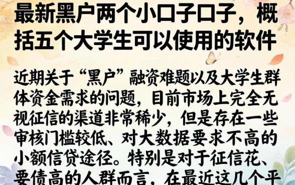 最新黑户两个小口子口子，概括五个大学生可以使用的软件