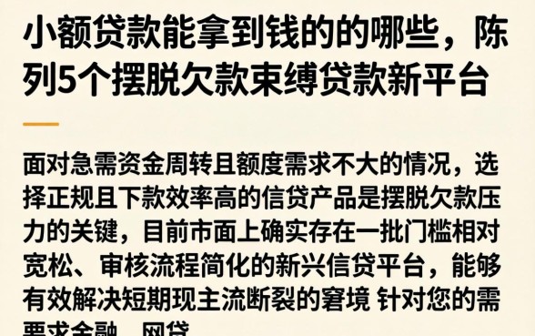 小额贷款能拿到钱的的哪些，陈列5个摆脱欠款束缚贷款新平台