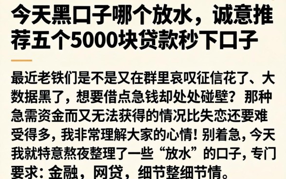 今天黑口子哪个放水，诚意推荐五个5000块贷款秒下口子