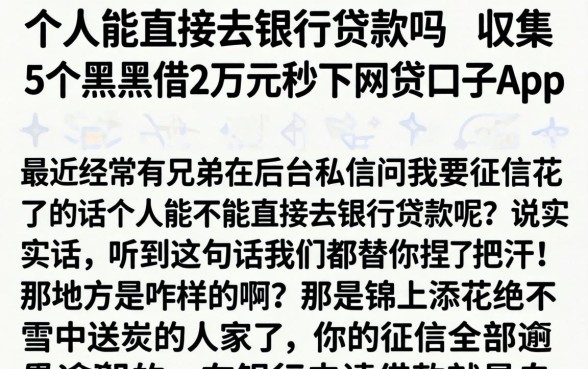 个人能直接去银行贷款吗，归集5个黑户借2万元秒下网贷口子app