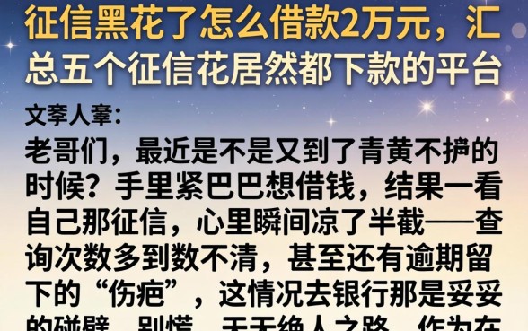 征信黑花了怎么借款2万元，汇总五个征信花居然都下款的平台