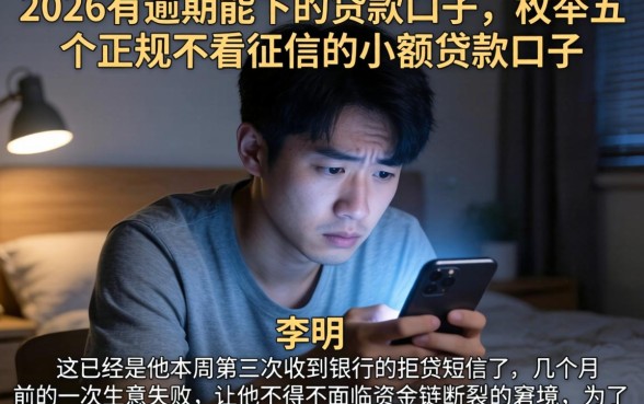 2026有逾期能下的贷款口子，枚举五个正规不看征信的小额贷款口子