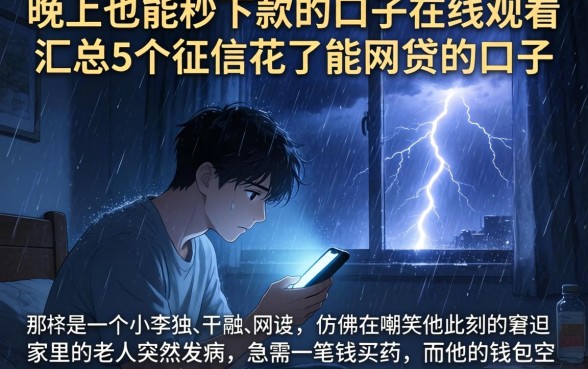 晚上也能秒下款的口子在线观看，汇总5个征信花了能网贷的口子