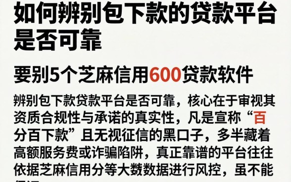 如何辨别包下款的贷款平台是否可靠,罗列5个芝麻信用600贷款软件