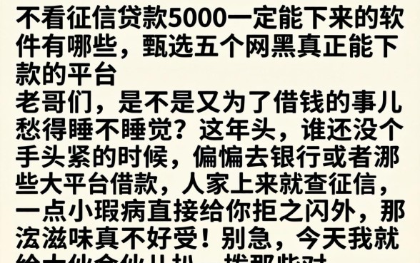 不看征信贷款5000一定能下来的软件有哪些，甄选五个网黑真正能下款的平台