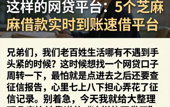 这样的网贷平台，详细阐述5个芝麻借款实时到账速借平台