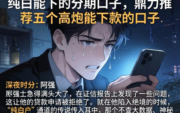 纯白能下的分期口子，鼎力推荐五个高炮能下款的口子