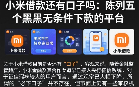 小米借款还有口子吗，陈列五个黑户无条件下款的平台