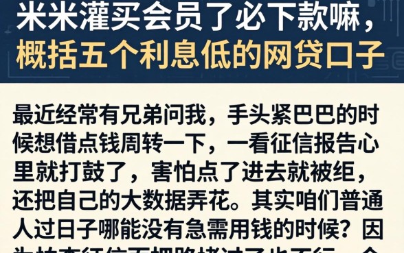 米米灌买会员了必下款嘛，概括五个利息低的网贷口子
