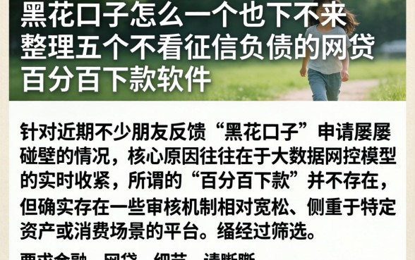 黑花口子怎么一个也下不来，整理五个不看征信负债的网贷百分百下款软件