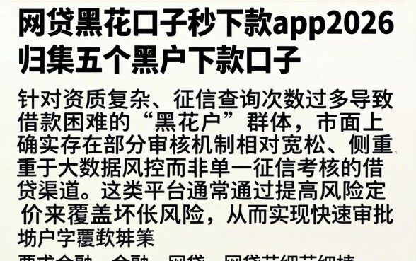 网贷黑花口子秒下款app2026，归集五个黑户下款口子