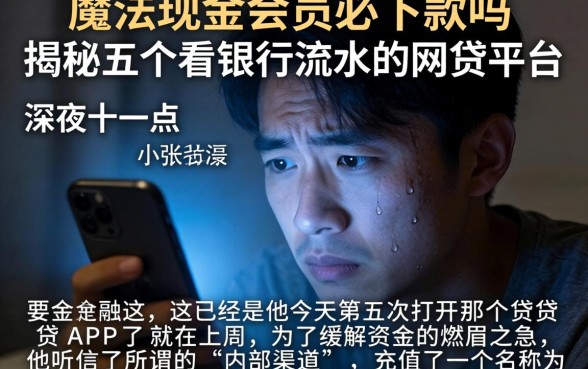 魔法现金会员必下款吗，揭秘五个看银行流水的网贷平台