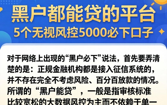 黑户都能贷的平台，概括5个无视风控5000必下口子