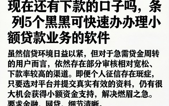 现在还有下款的口子吗，条列5个黑户可快速办理小额贷款业务的软件