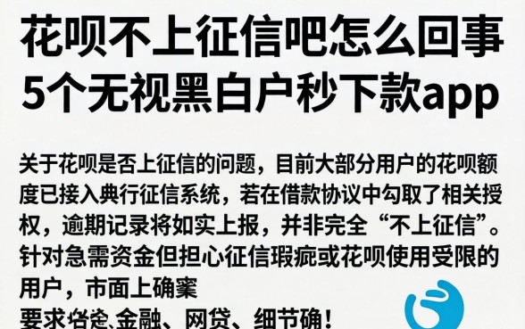 花呗不上征信吧怎么回事，概括5个无视黑白户秒下款app