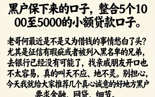 黑户保下来的口子，整合5个1000至5000的小额贷款口子