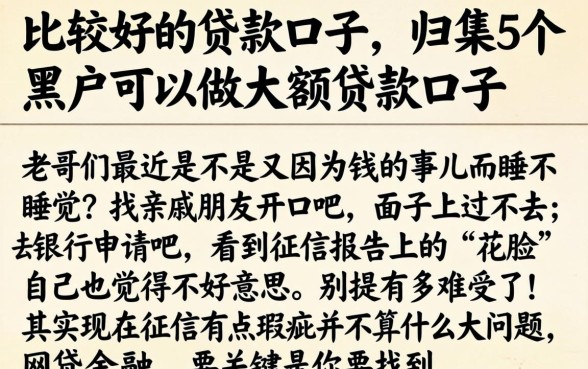 比较好的贷款口子，归集5个黑户可以做大额贷款口子