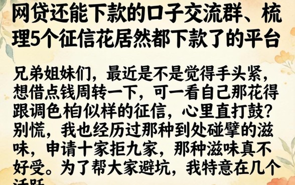 网贷还能下款的口子交流群，梳理5个征信花居然都下款了的平台